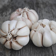 Garlic Messidrome Garden Vegetable Plant Hardy Bulbs