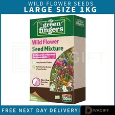 WILD FLOWER SEEDS SEED MIXTURE