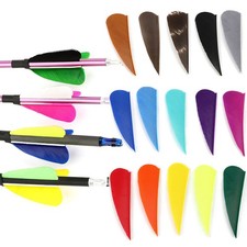 50x arrow natural feather - 50x,