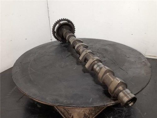 R6110510001 camshaft 1082401