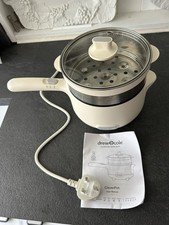 Double layer electric steamer