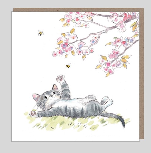 Cat birthday card cute - birthday,