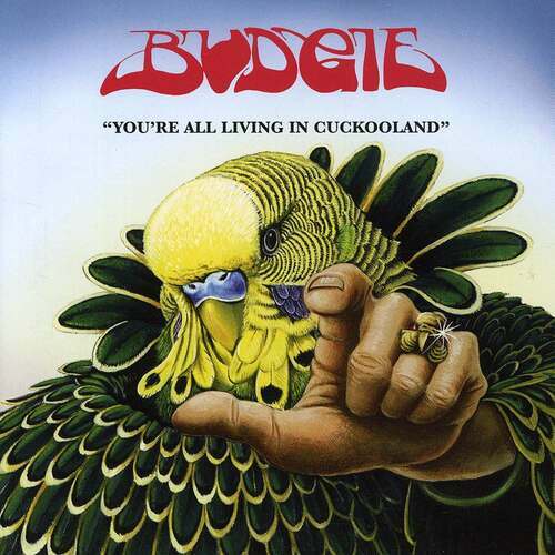 Budgie you all living - you're,