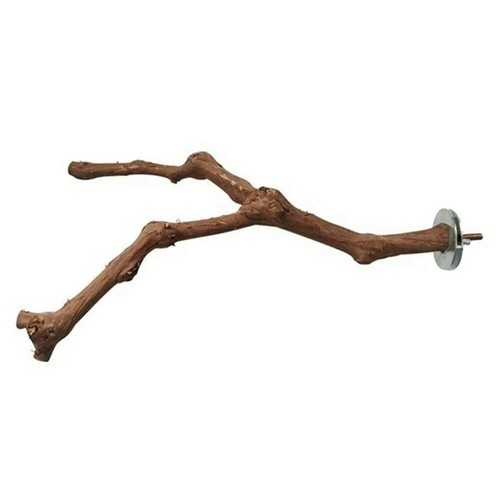 Wooden parrot bird stand tree - bird,