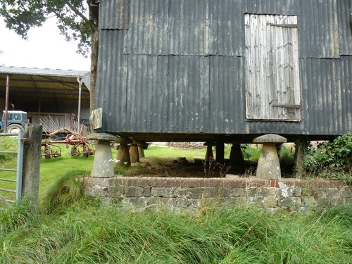 Photo staddle stone - a3,