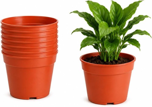 Plastic plant pots garden - plant,
