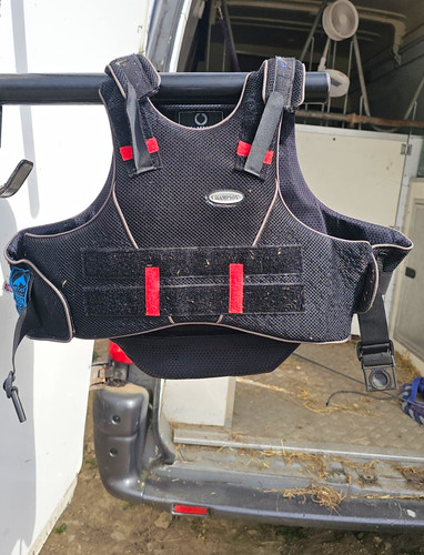 Champion flexair riding body - flexair,