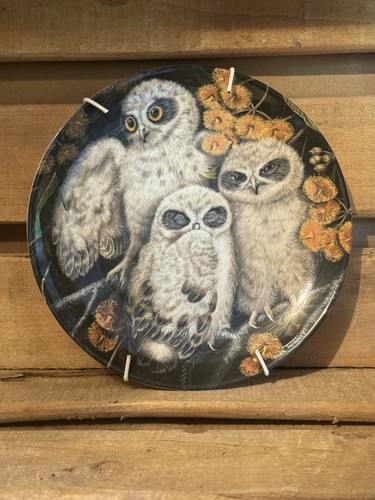 Wedgwood owls design - design, china