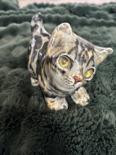 Winstanley size tabby kitten - winstanley,
