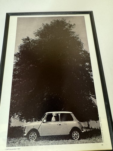 Framed original 1991 - 1991, rover