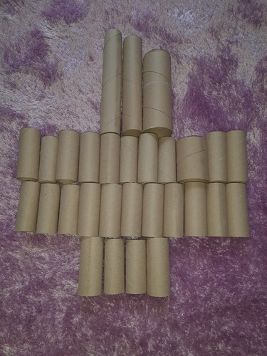 Toilet roll tubes - toilet, and