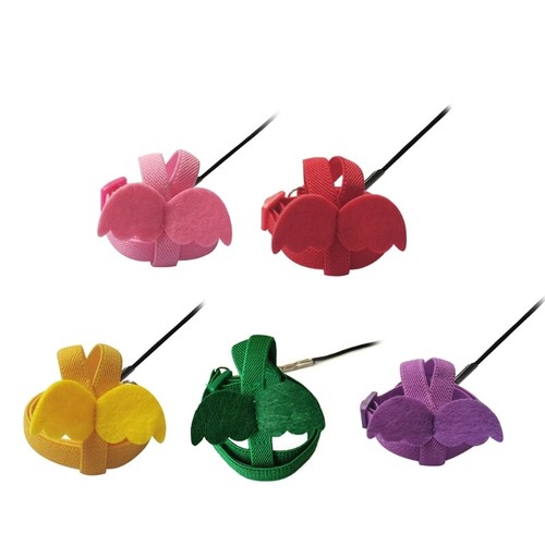 Pet birds flying - pet, clothes
