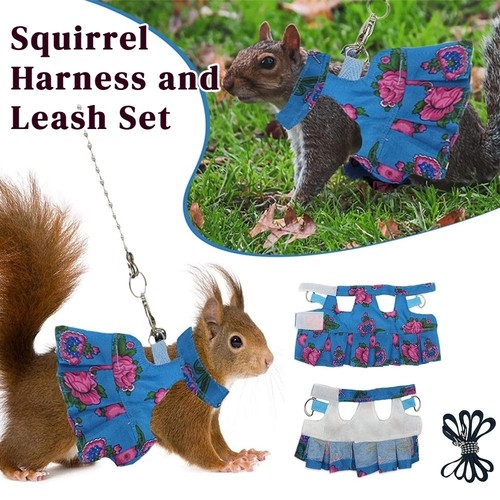 Ferret harness leash - ferret,