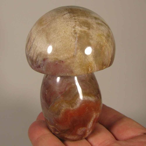 Petrified wood mushroom - 3.5",