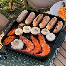 Non stick cast iron griddle - stick,