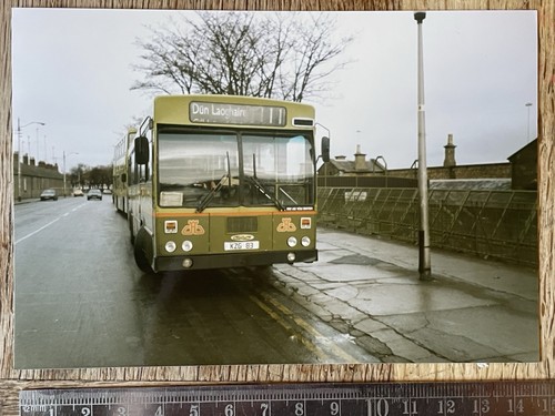 Irish dublin bus - (bus, Átha