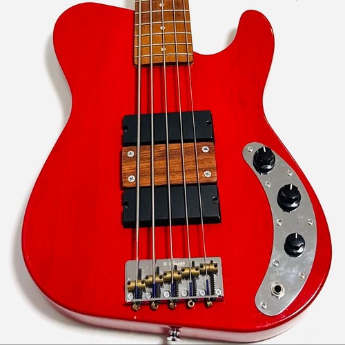 Custom string bass with - custom,