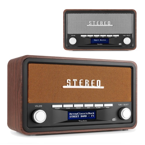 Audizio foggia portable dab - portable,