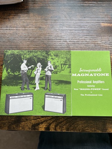 Vintage magnatone electric - magnatone,