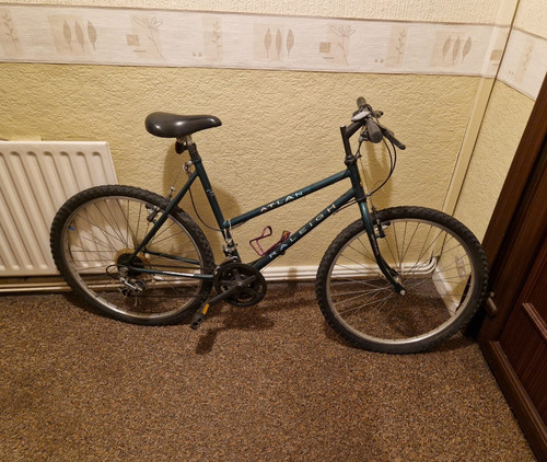 Raleigh atlan mountain bike - mountain,