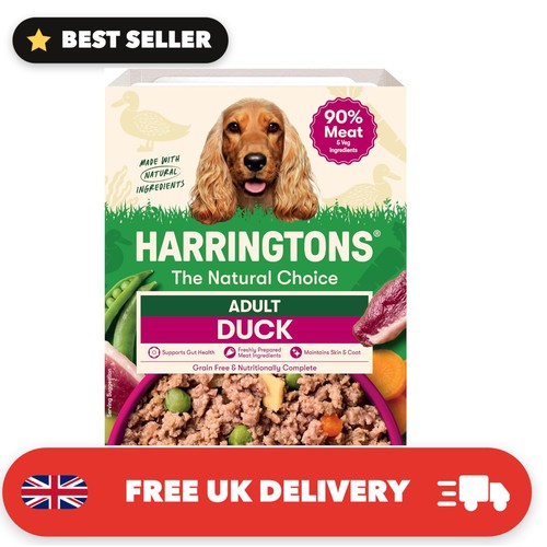 Complete wet adult dog - adult,
