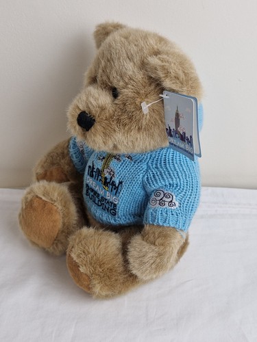 Teddy bear new - dream, big