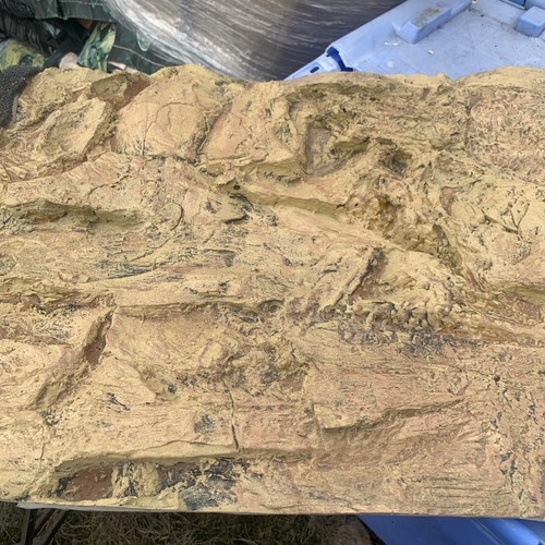 Aquarium vivarium background - vivarium,