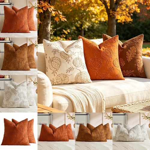 New autumn pumpkin - new,