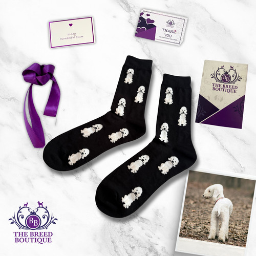 Bedlington terrier socks - bedlington,