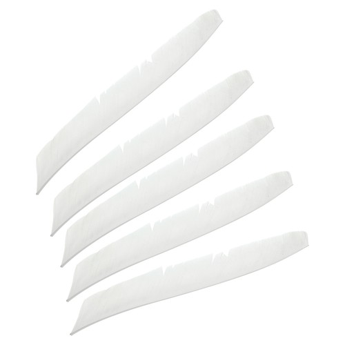 50pcs arrows vanes inch - 11,