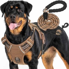 Haapaw Heavy Duty Tactical Dog