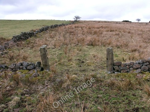 Photo 6x4 kilsyth battlefield - 6x4,