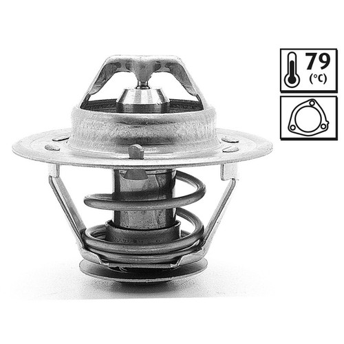 Calorstat engine for iveco - engine,
