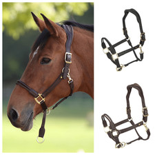 Shires Velociti Lusso Soria