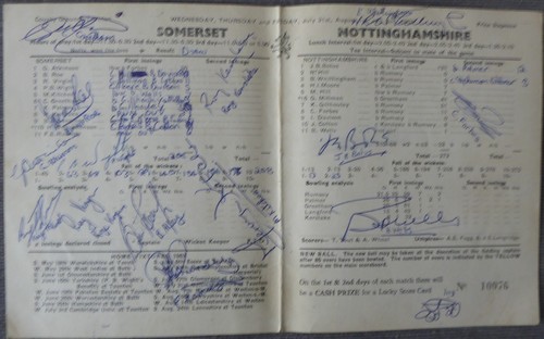 Somerset cricket scorecard - somerset,