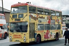 Bus Photo - SELNEC 7073