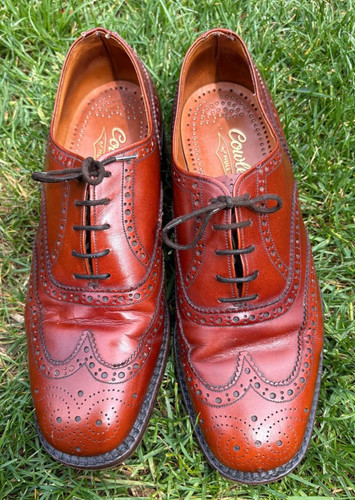 Cowleys hull chestnut - hull,