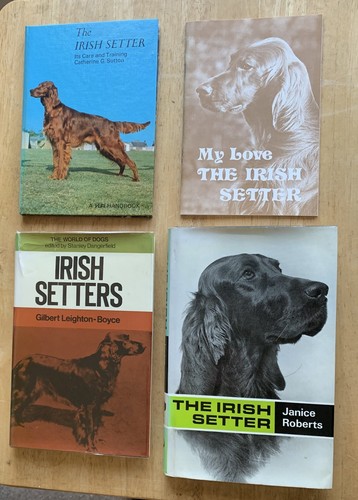 Irish setter 1970 - irish, 1970`s