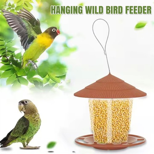 Hanging wild bird feeder seed - bird,