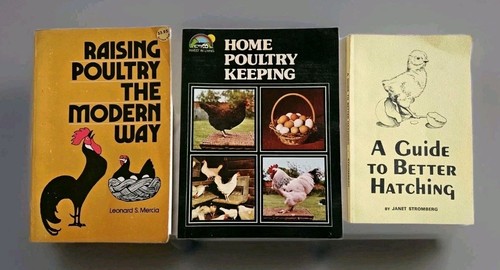 Raising poultry better - raising, poultry,