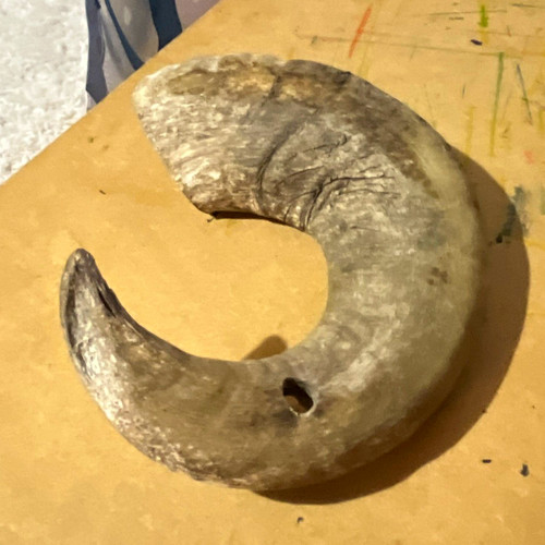 Ram horn natural - horn, natural.