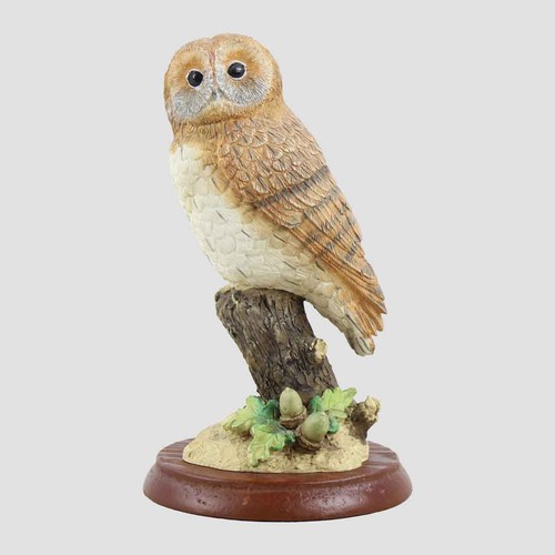 Tawny owl with acorns - acorns, border