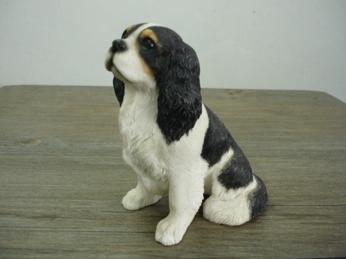 Cavalier king charles spaniel - cavalier,