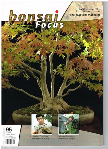 Bonsai focus nov dec - focus,