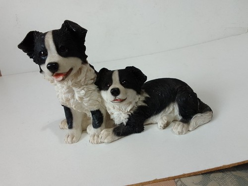 Border collie dog puppies - ., by