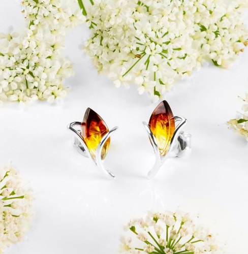 Henryka tulip baltic amber - henryka,