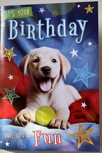 Cute labrador puppy dog - labrador,