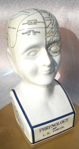 Phrenology head fowler - phrenology,