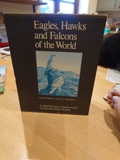 Eagles, Hawks & Falcons of the