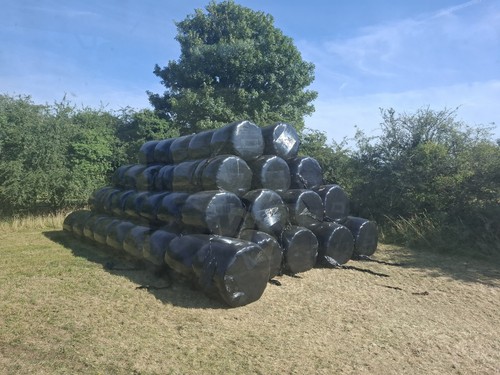 Round bale silage - silage, 2026